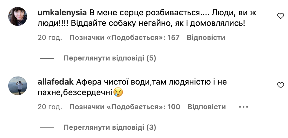 «Ми нічого не обіцяли». У черкаському притулку волонтери не віддали собаку захисниці Пташці фото 3