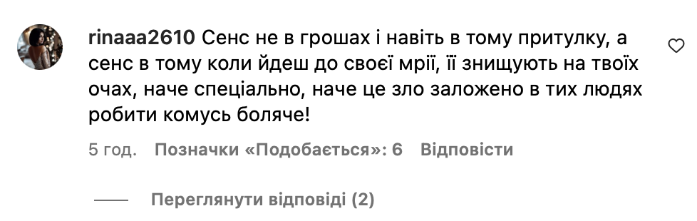 «Ми нічого не обіцяли». У черкаському притулку волонтери не віддали собаку захисниці Пташці фото 4