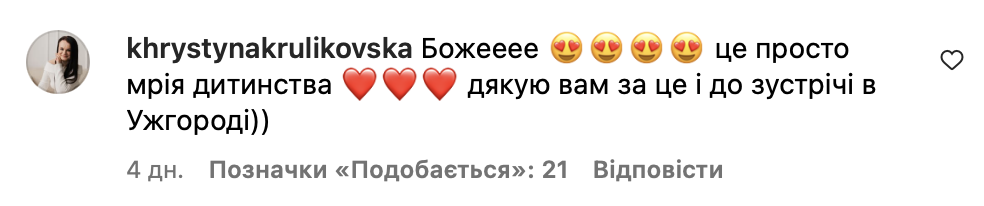 Відкриття McDonald's на Закарпатті посварило українців фото 2