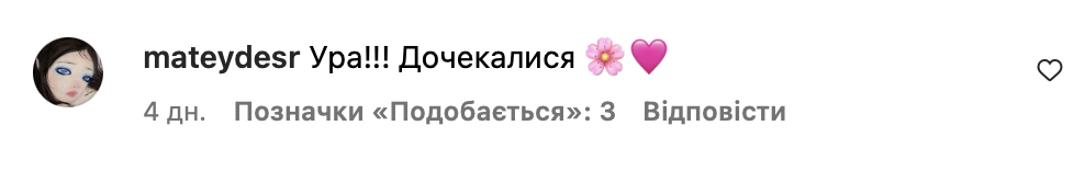 Відкриття McDonald's на Закарпатті посварило українців фото 3