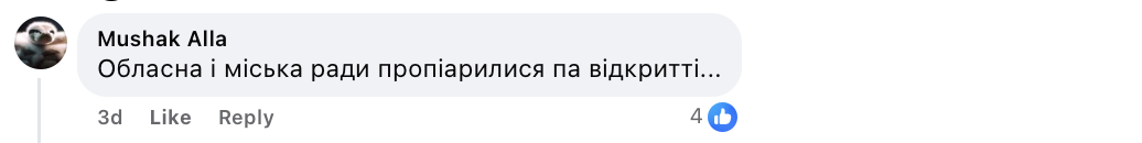 Відкриття McDonald's на Закарпатті посварило українців фото 6