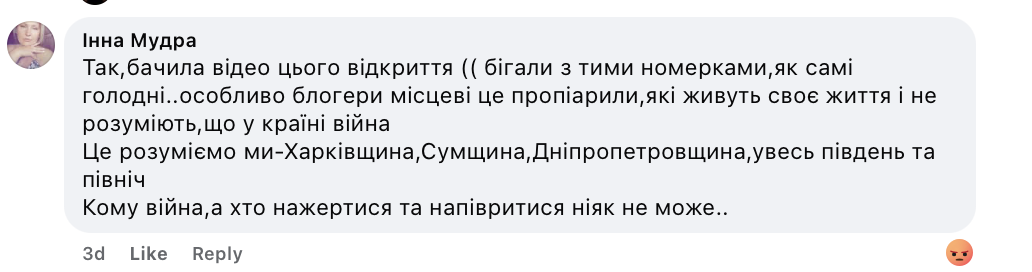 Відкриття McDonald's на Закарпатті посварило українців фото 7