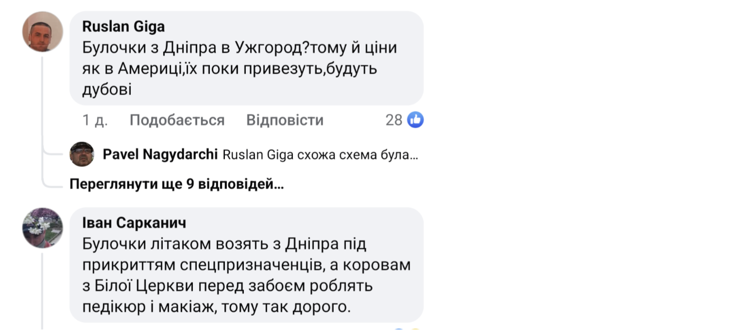 Відкриття McDonald's на Закарпатті посварило українців фото 12