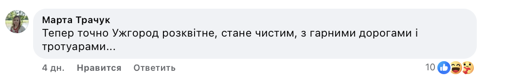 Відкриття McDonald's на Закарпатті посварило українців фото 9
