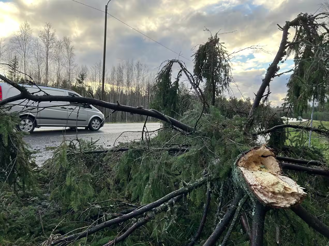 У Фінляндії вперше зафіксовано ураган. Негода залишила без електрики тисячі будинків фото 1