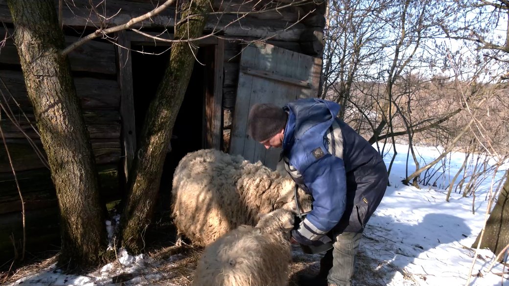 Відкрив ферму біля кордону з РФ. Ветеран розповів, як господарює під обстрілами фото 1