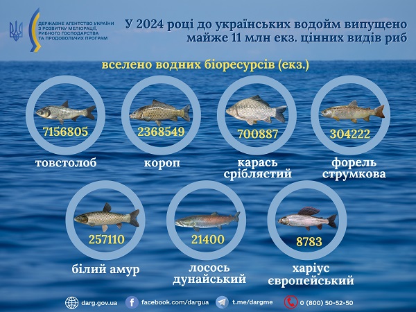 Уперше за часів незалежності. Яку рибу випущено до українських водойм фото 1