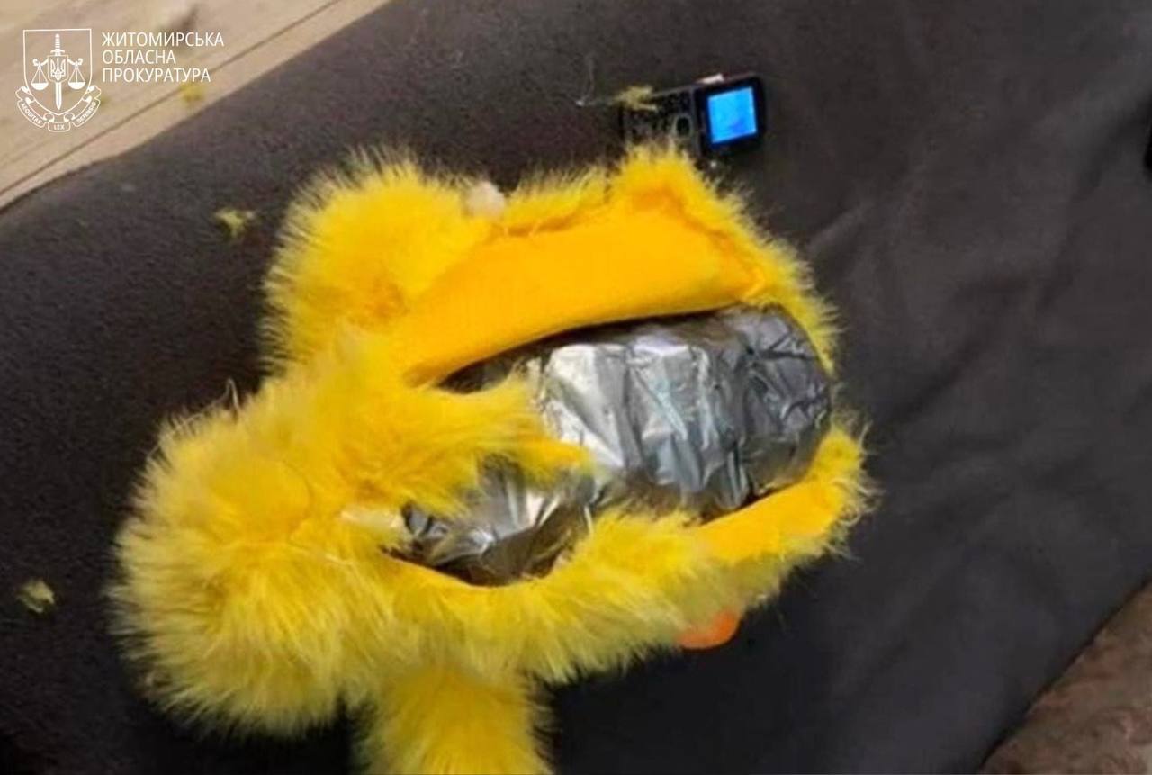 Сховали вибухівку в дитячу іграшку. СБУ попередила теракт у Житомирі фото 1