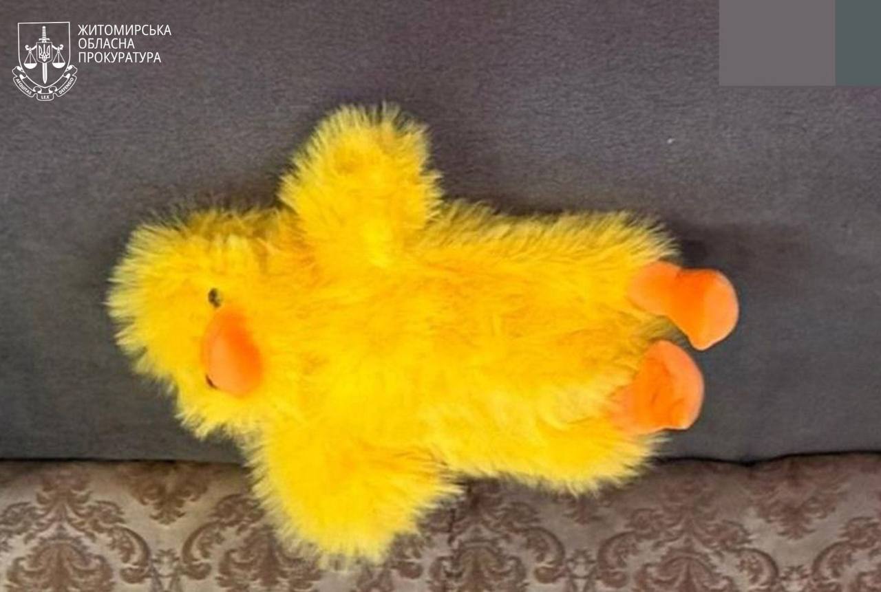 Сховали вибухівку в дитячу іграшку. СБУ попередила теракт у Житомирі фото 2