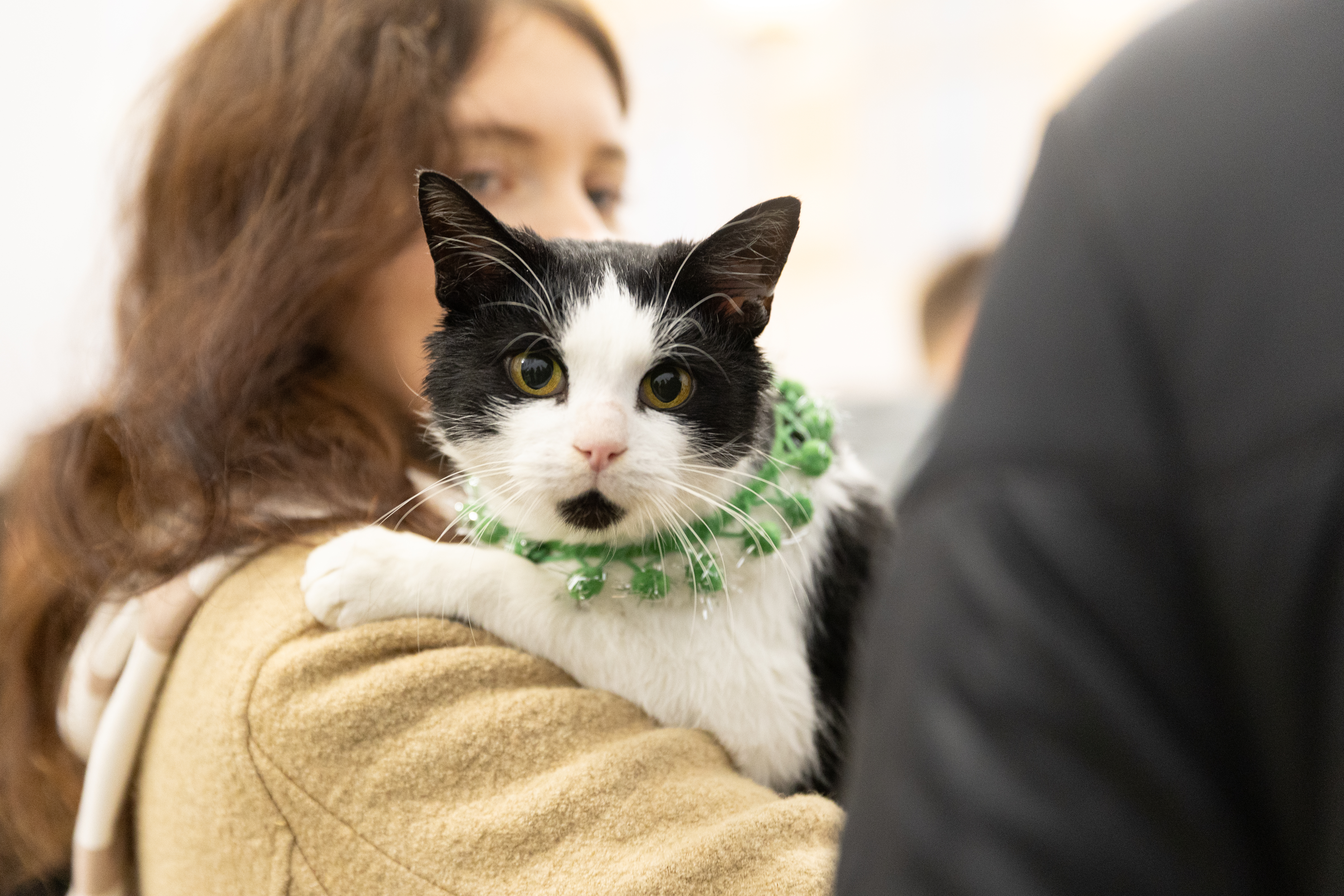 Афіша на вихідні. Куди піти у столиці 13-14 грудня фото 16