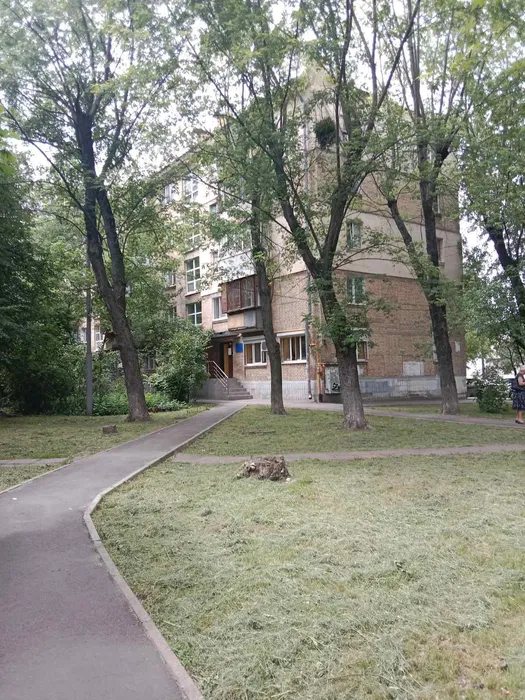 Хрущовка розташована у затишному зеленому дворі