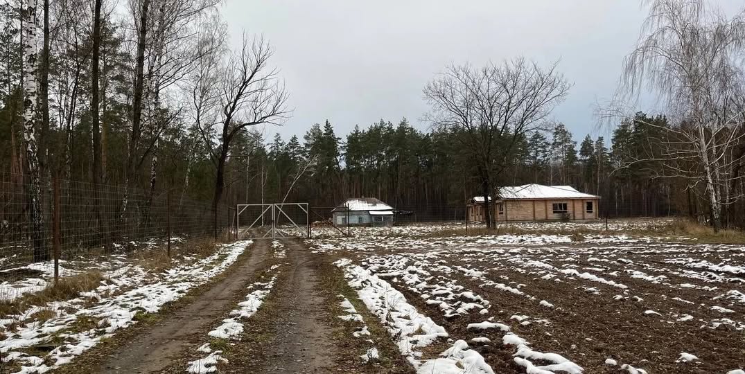 За парканом, яким обгороджений «хутір», видніється густий ліс та будинки 