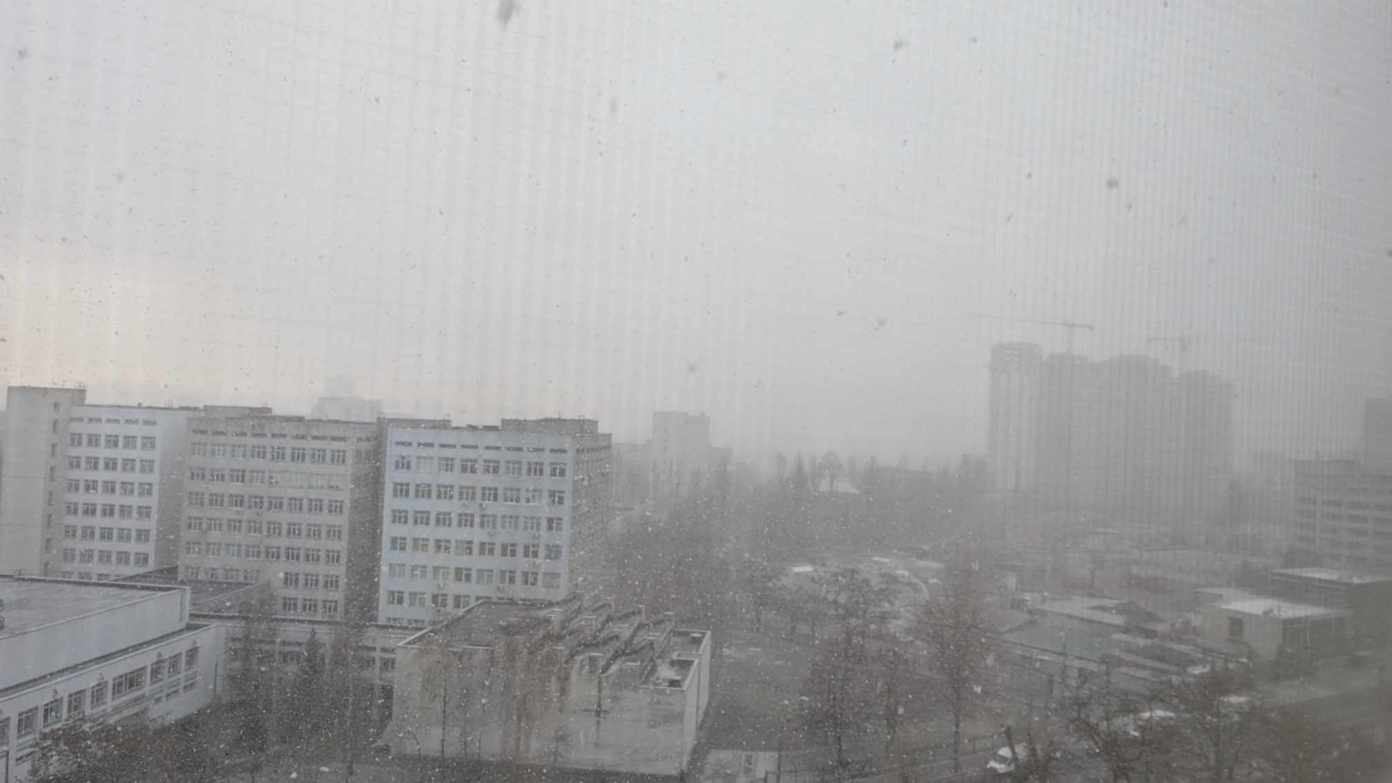 У Києві почалася завірюха (фото) фото 1