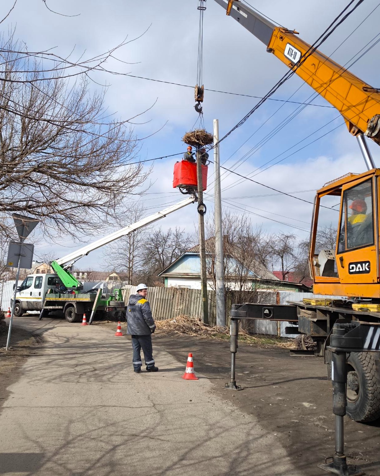 Першу в цьому році платформу для пернатих змонтовано в Бортничах