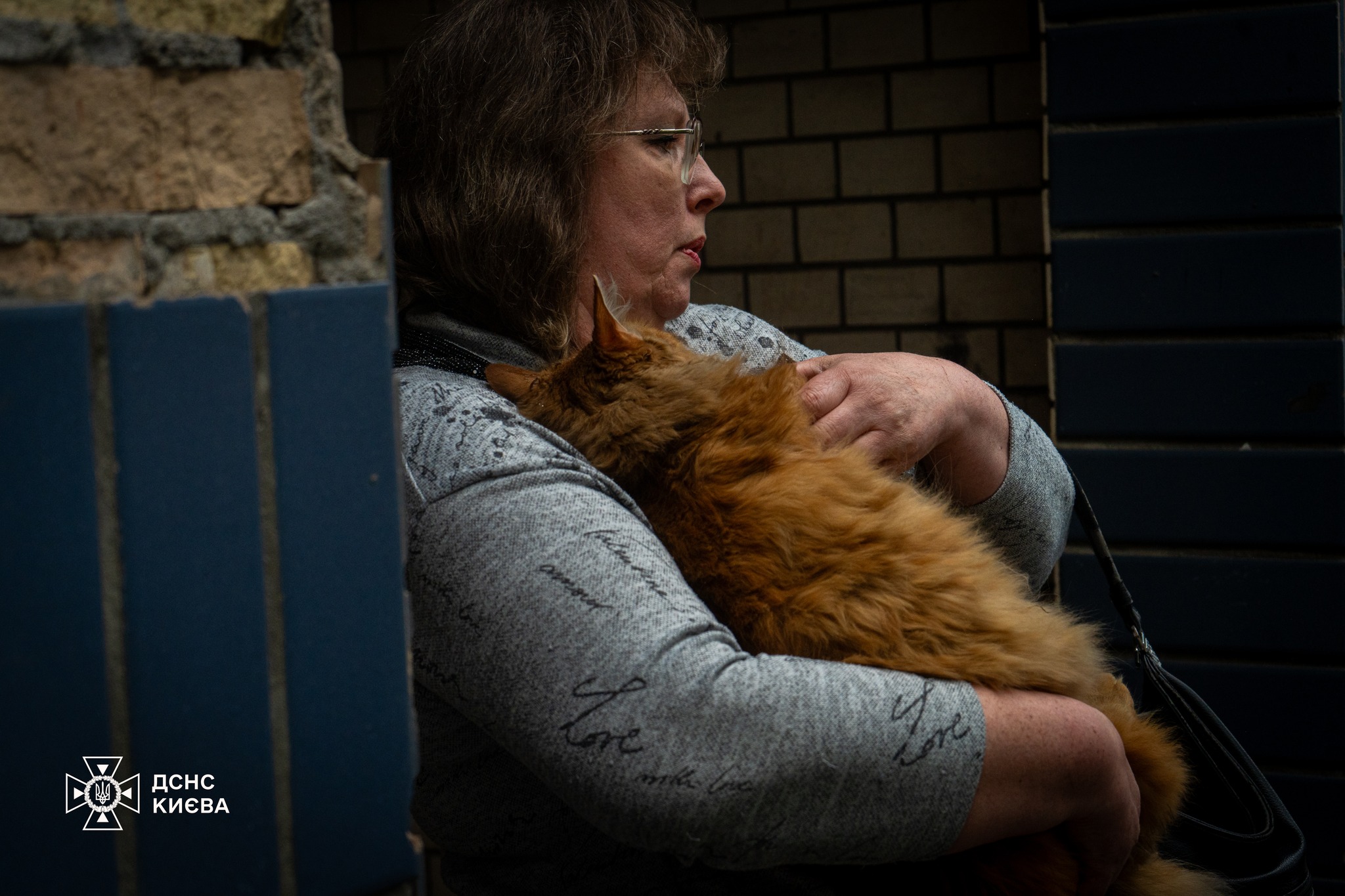 Життя пухнастика врятоване