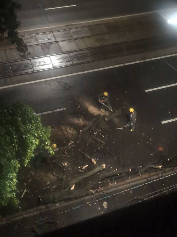 Рутувальники розчищають дорогу для проїзду транспорту