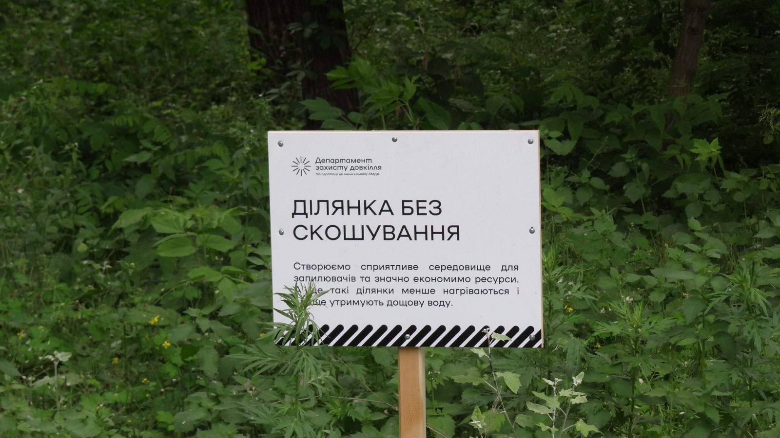 У Києві збільшується кількість ділянок із природним режимом утримання трав’яного покриву