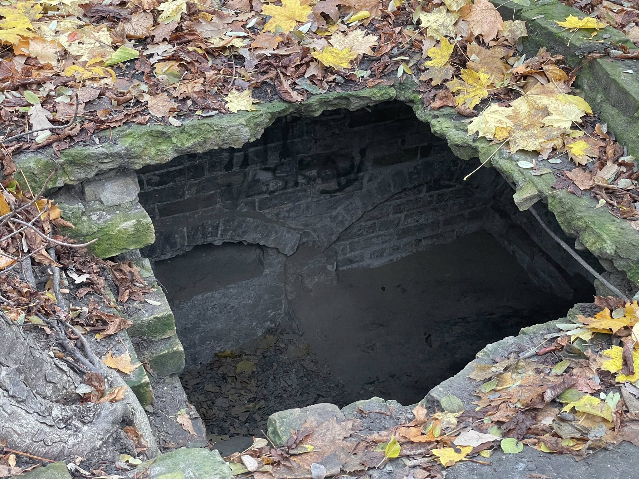 У сучасному вигляді некрополь сформувався у ХІХ столітті