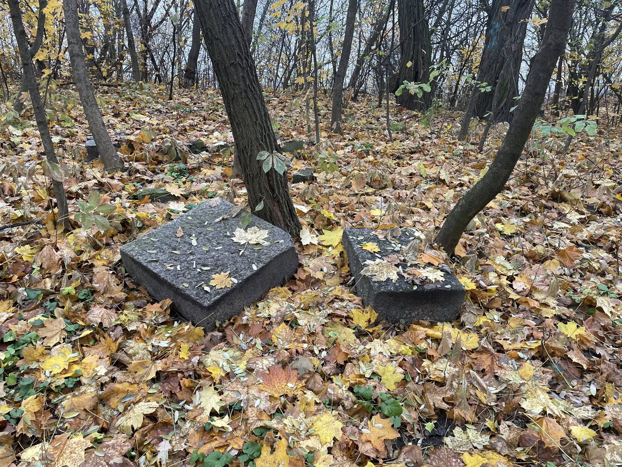 Флорівський цвинтар мав вельми почесний статус, тут ховали військових діячів, князів, професорів та інших видатних киян