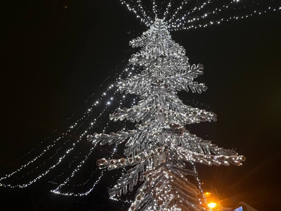 Ялинка у Броварах