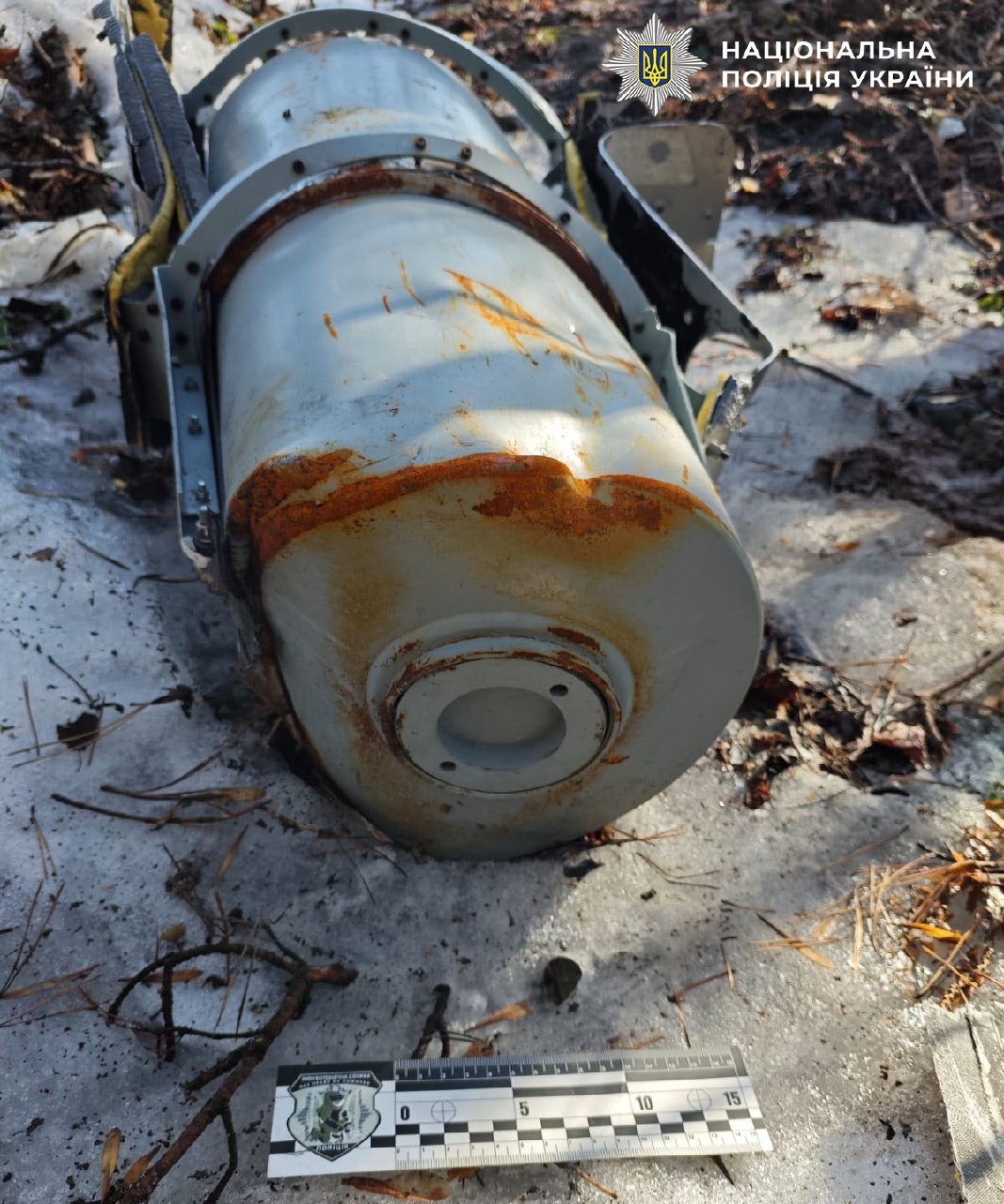 Нездетонована бойова частина дрона приземлилася  у лісосмузі на в’їзді до Києва