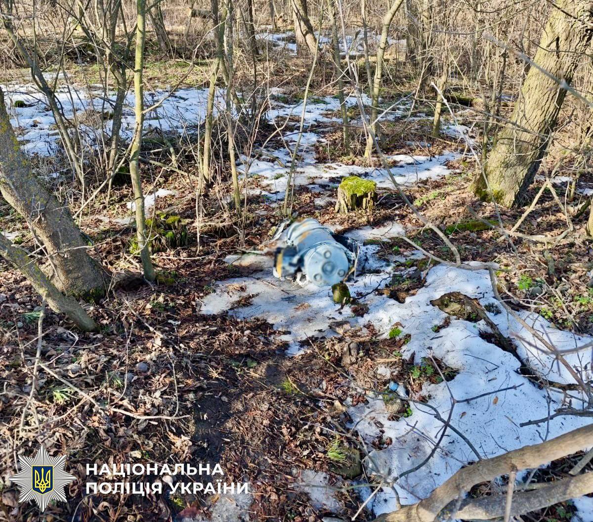 Небезпечну знахідку поліцейські виявили у лісосмузі на в’їзді до Києва