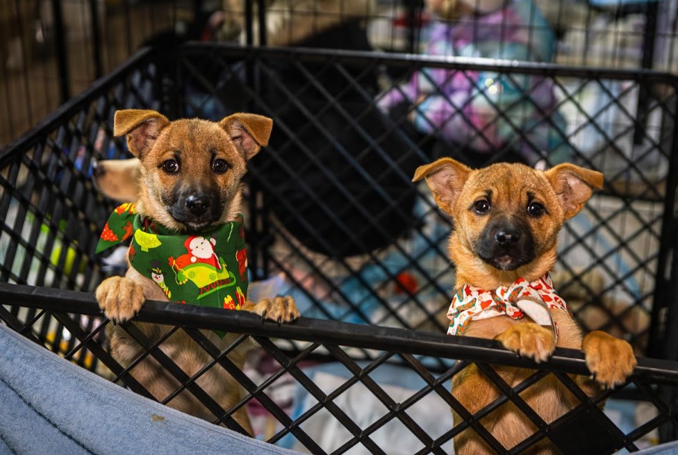 Афіша на вихідні. Куди піти у столиці 21-22 березня фото 14