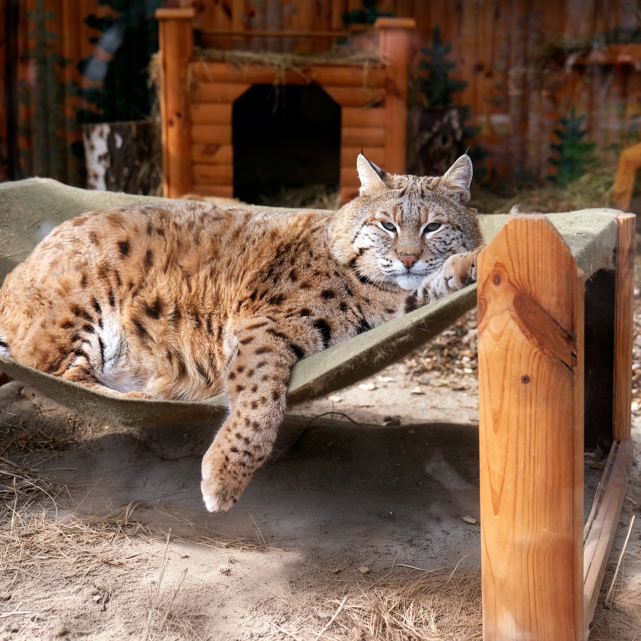Степан ловить перші теплі сонячні промені