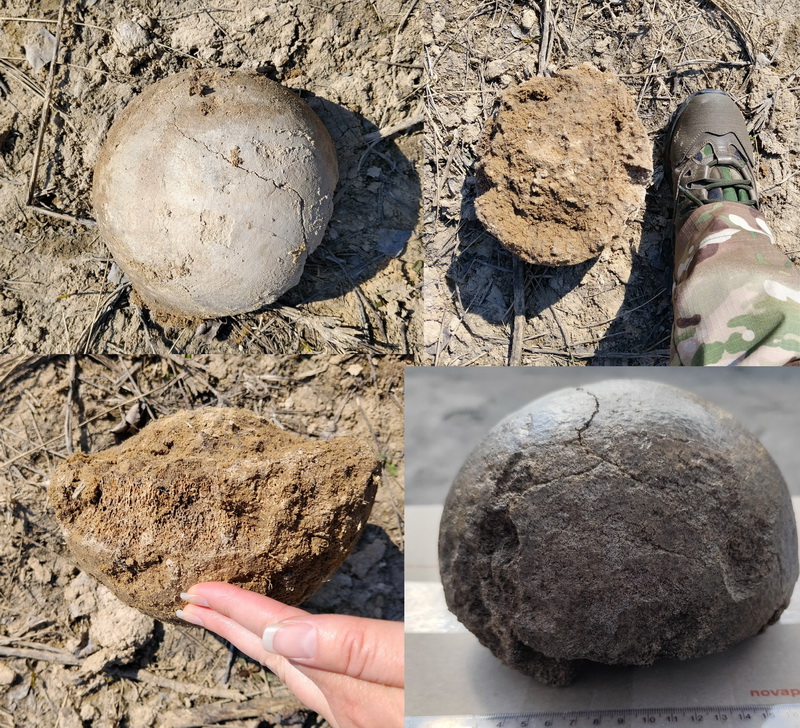 Знайдена військовими частина стегнової кістки мамонта 