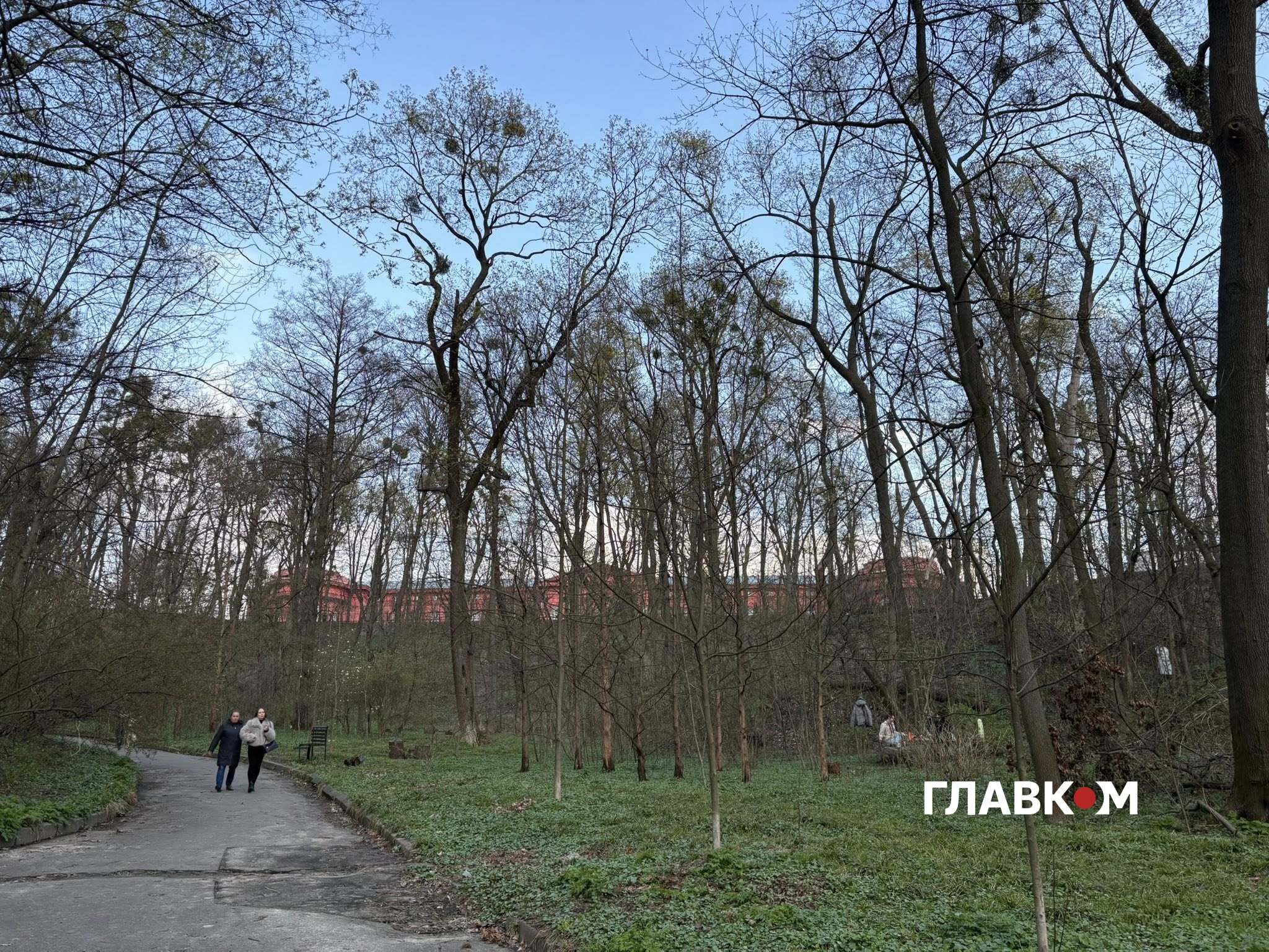 Компанія влаштувала у парку пікнік