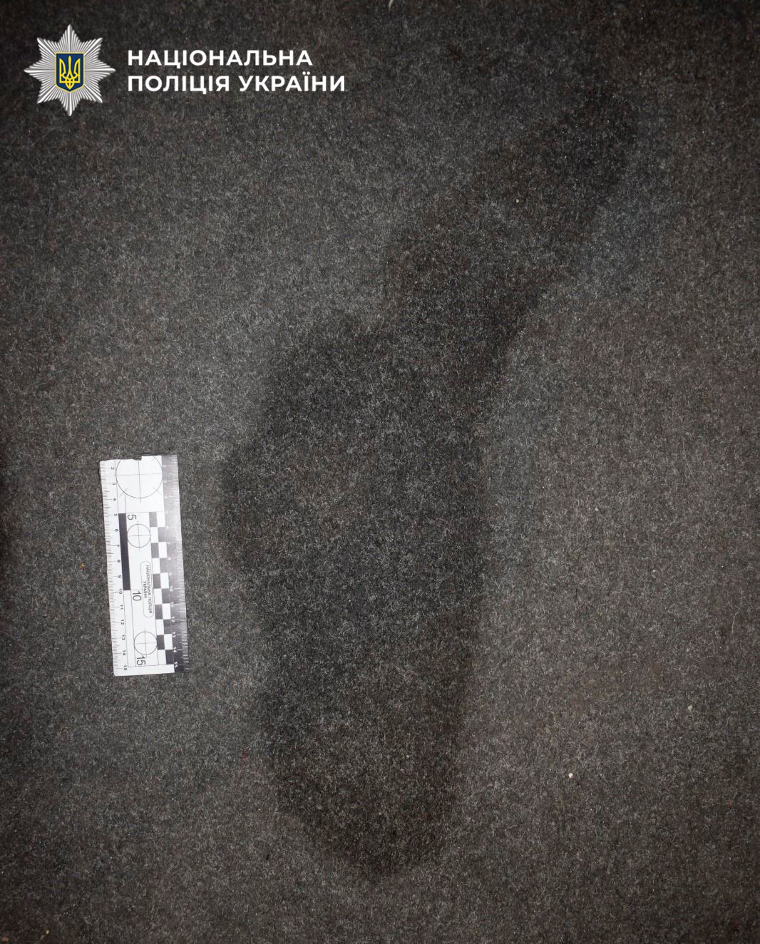 Пляма від невідомої рідини у залі кінотеатру