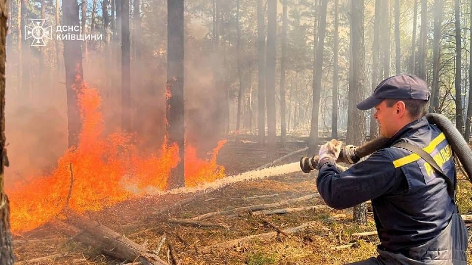 Вирувала кілька днів. У Чорнобильській зоні ліквідовано масштабну лісову пожежу фото 1