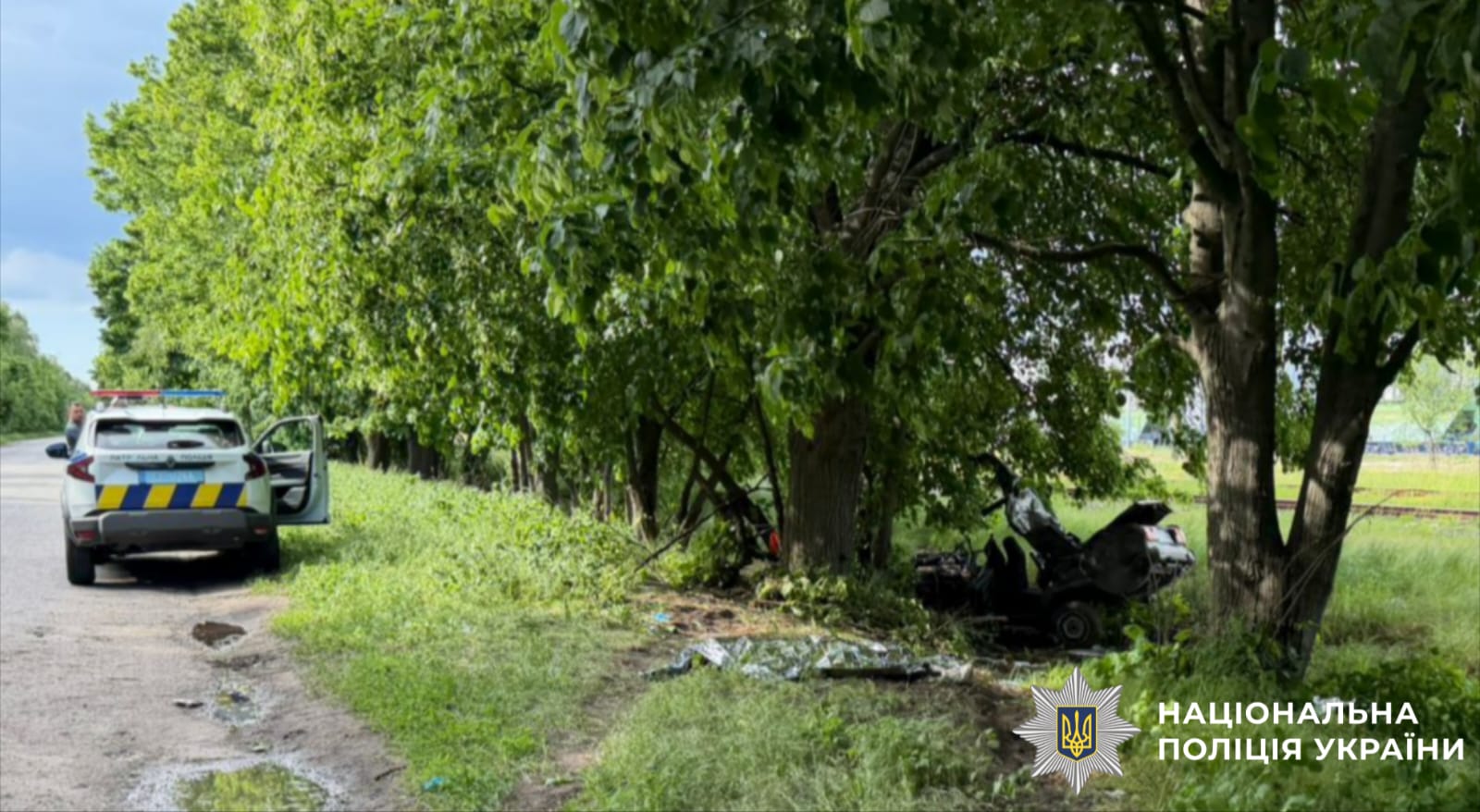 39-річний водій автомобіля ВАЗ не впорався з керуванням та допустив з’їзд в кювет з подальшим наїздом на дерево