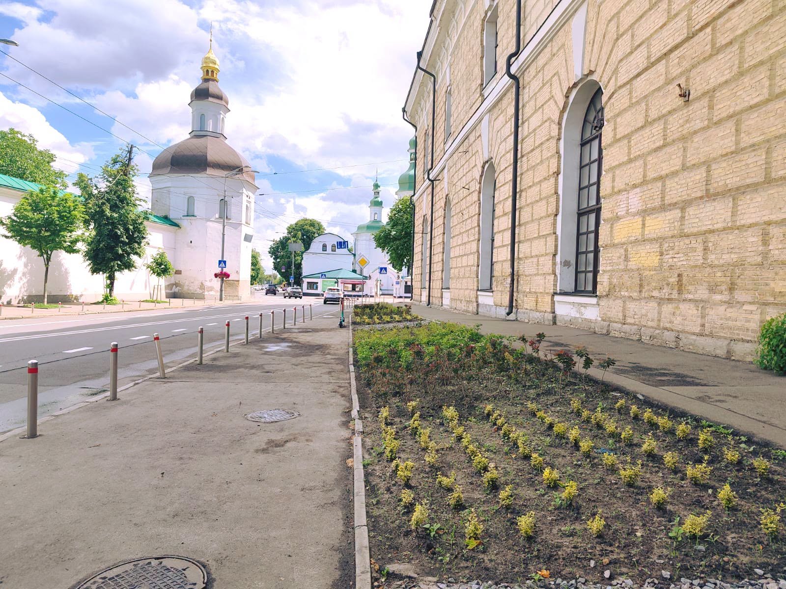 Такий вигляд мала локація одразу після висаджування рослин