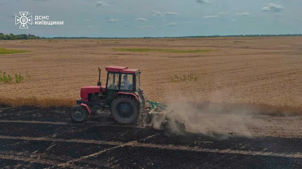 На Броварщині горіло пшеничне поле: рятувальники гасили вогонь майже годину фото 1