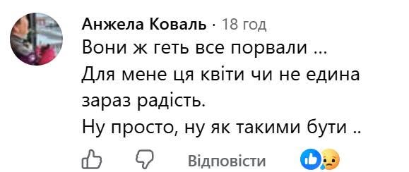 Користувачі групи обурені діями молодих чоловіків