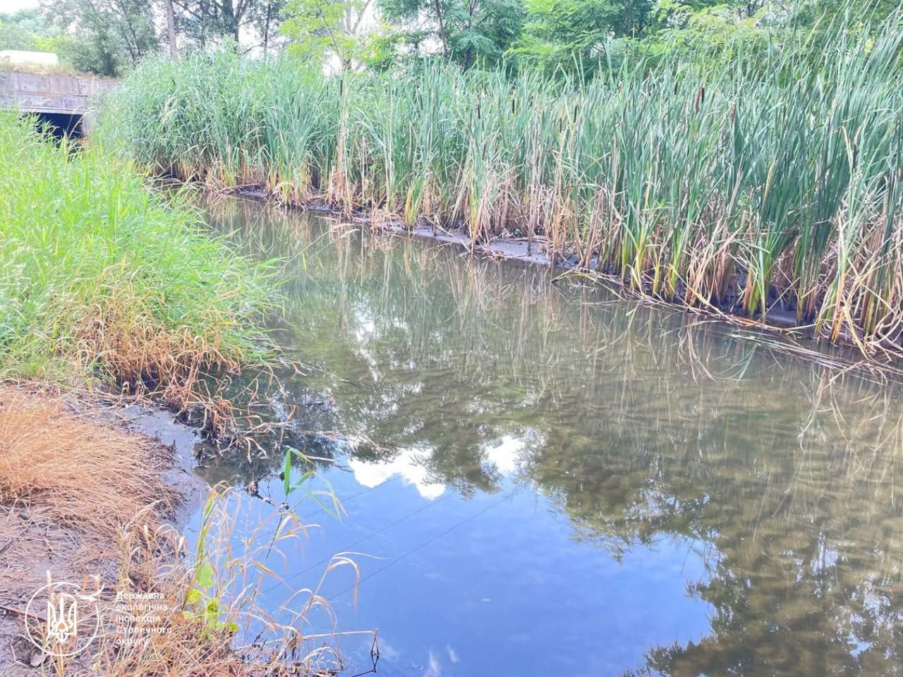 За фактом забруднення водойм правоохоронці відкрили кримінальне провадження 