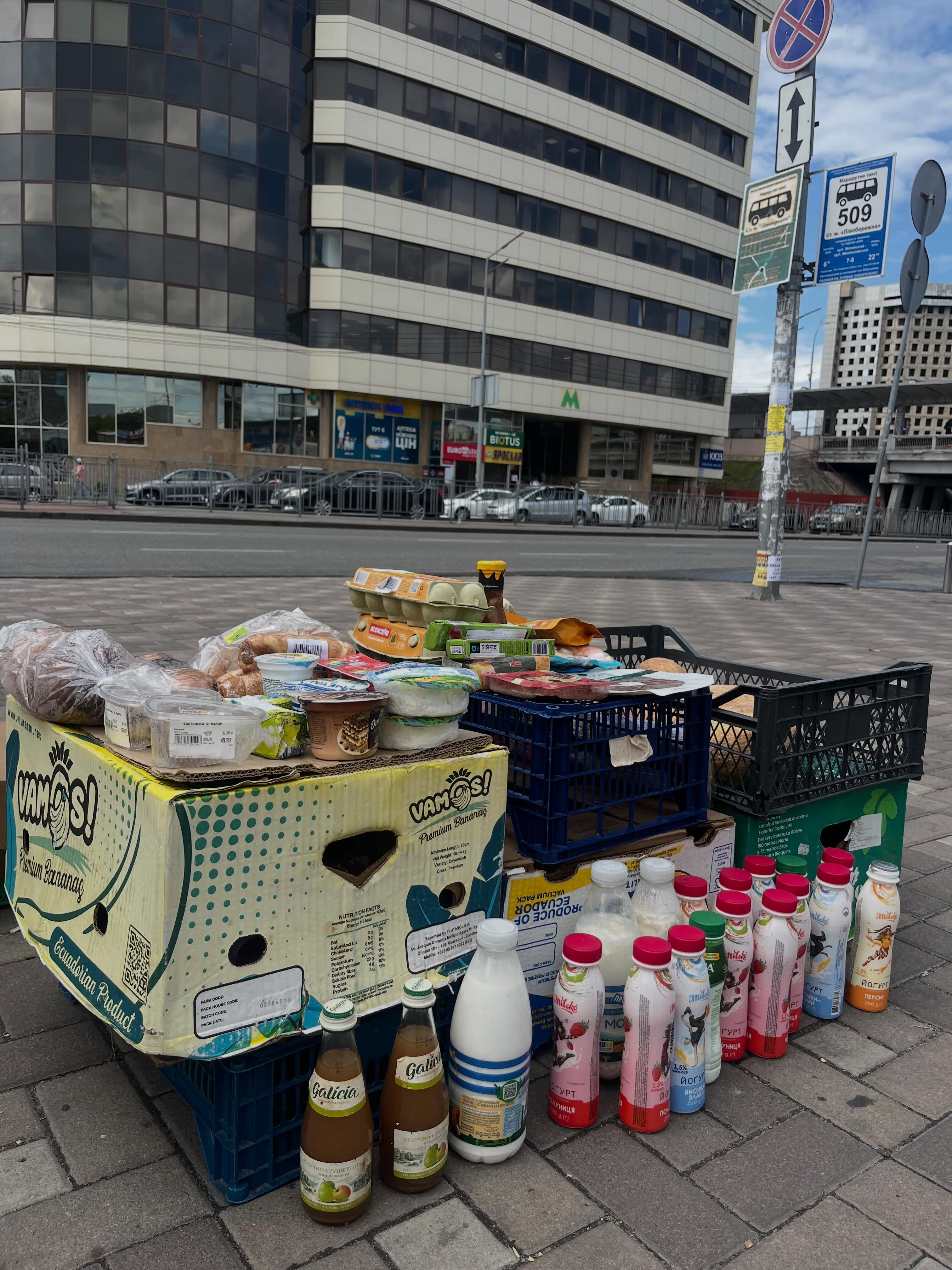 Торгівля продуктами з землі біля станції метро «Лівобережна» 