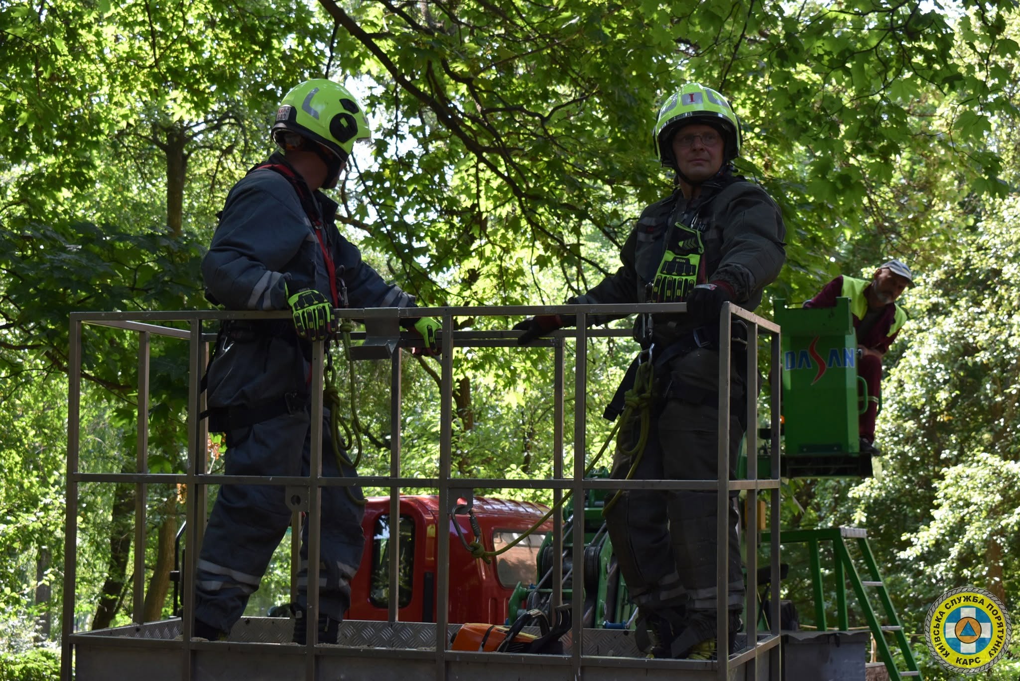 У Києві рятувальники прибрали чотиритонне дерево, що впало на житловий будинок (фото) фото 1