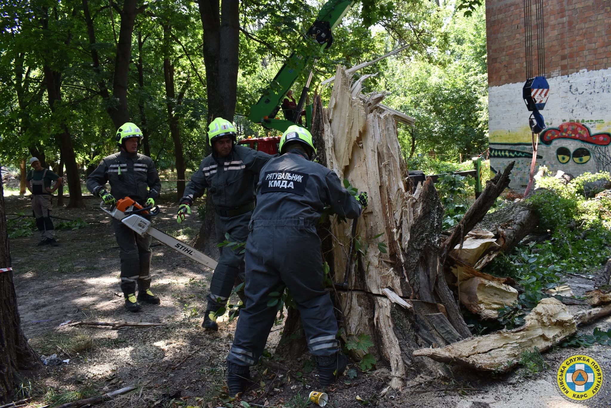 У Києві рятувальники прибрали чотиритонне дерево, що впало на житловий будинок (фото) фото 4