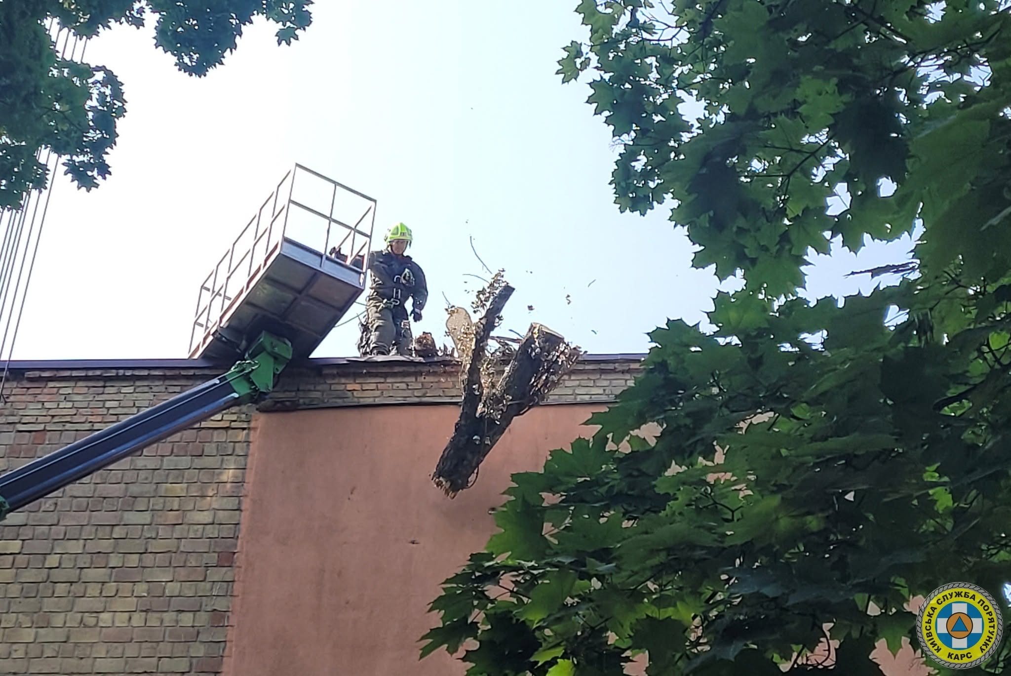 Рятувальник на даху будинку, на який впало дерево