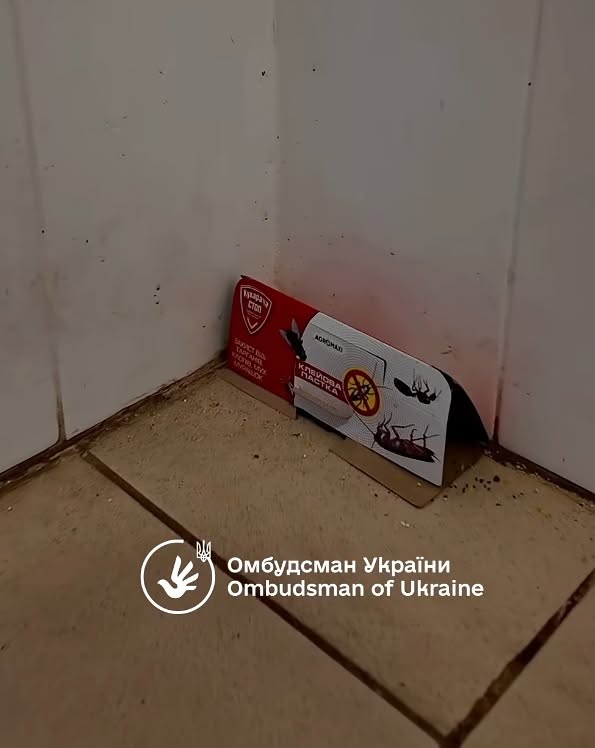 Адміністрація намагається боротися з комахами