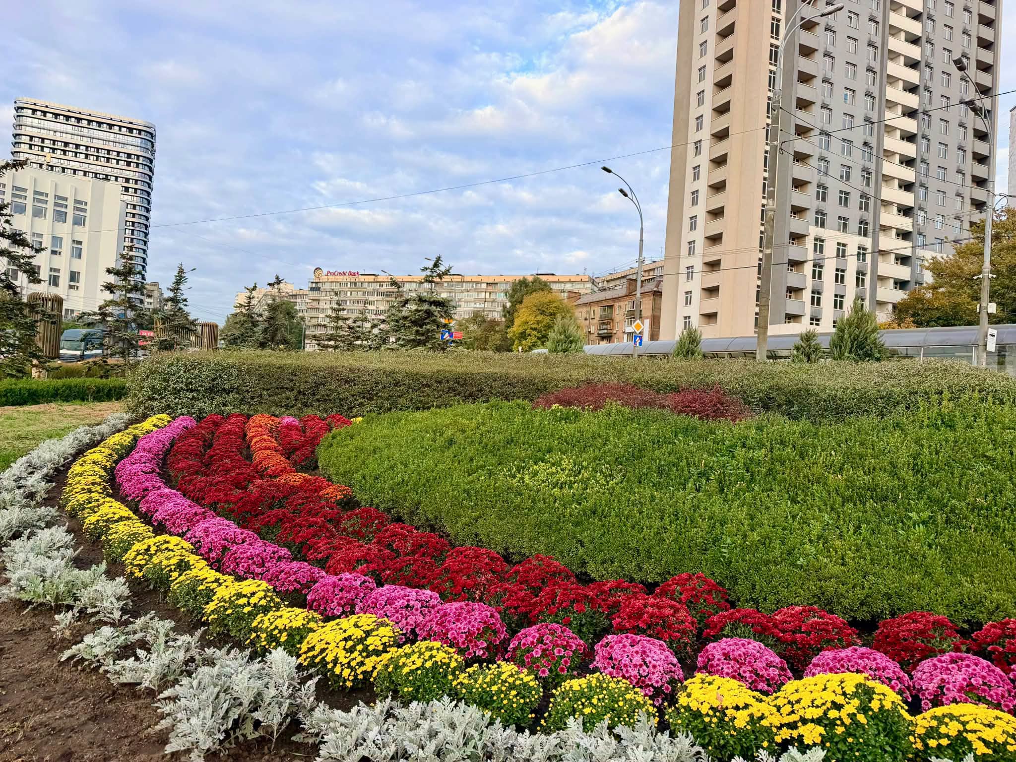 У Києві розпочався сезон хризантем: повний перелік осінніх локацій для яскравих фото фото 4
