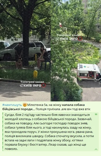 У Деснянському районі столиці бійцівський пес напав на перехожу