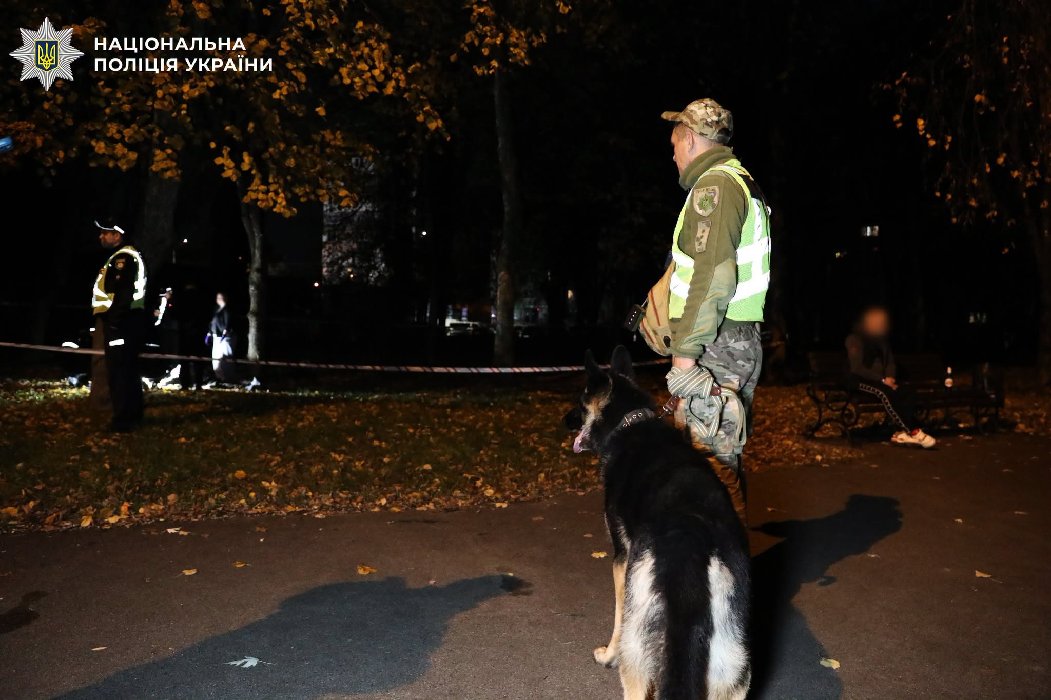 Знаряддя вбивства шукали кінологи з собаками