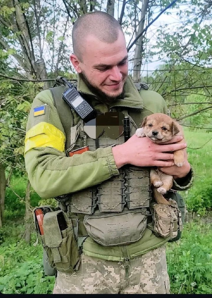 Володимир Векліч