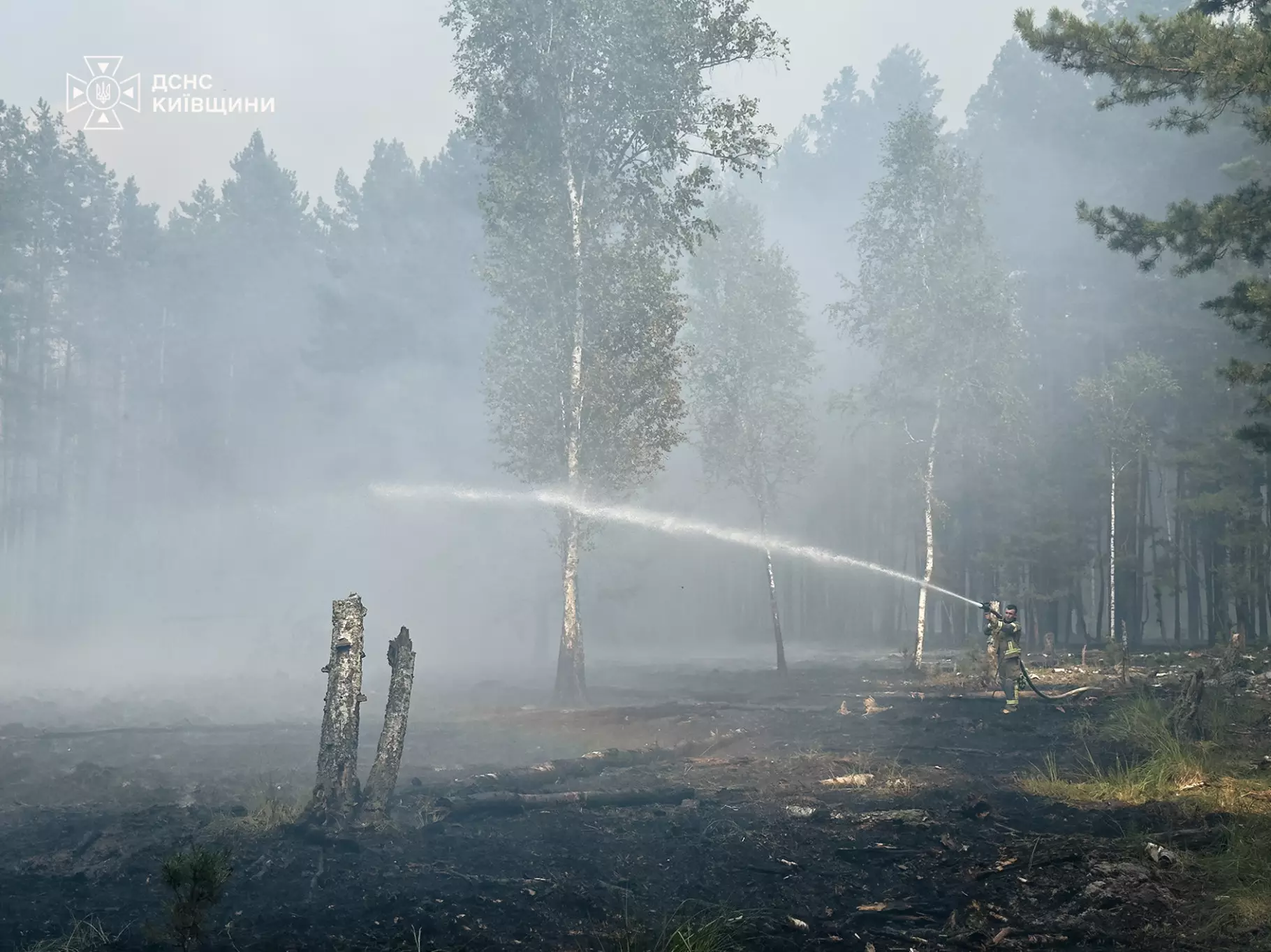На Київщині рятувальники гасять масштабну лісову пожежу (відео) фото 2