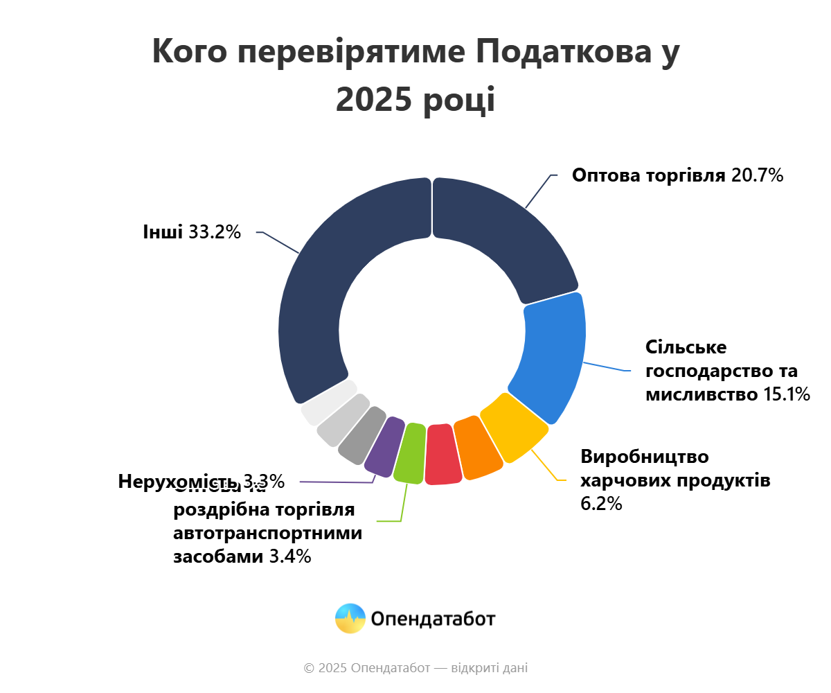 Кого перевірятиме Податкова у 2025 році