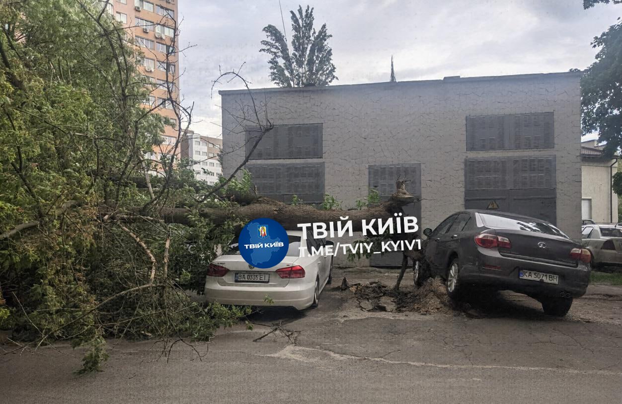 На Вересневій у Дарницькому районі дерево впало прямо на автівку
