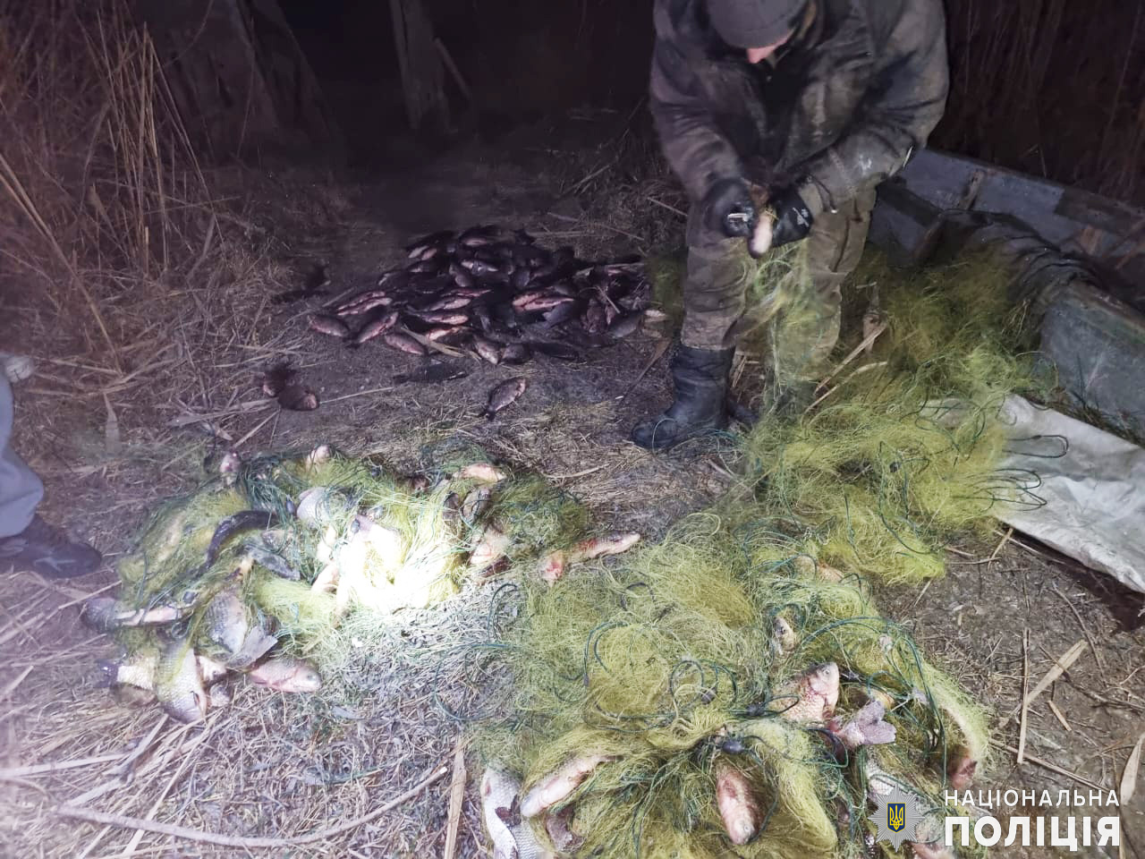 На Миколаївщині чоловік наловив риби майже на півмільйона гривень фото 1